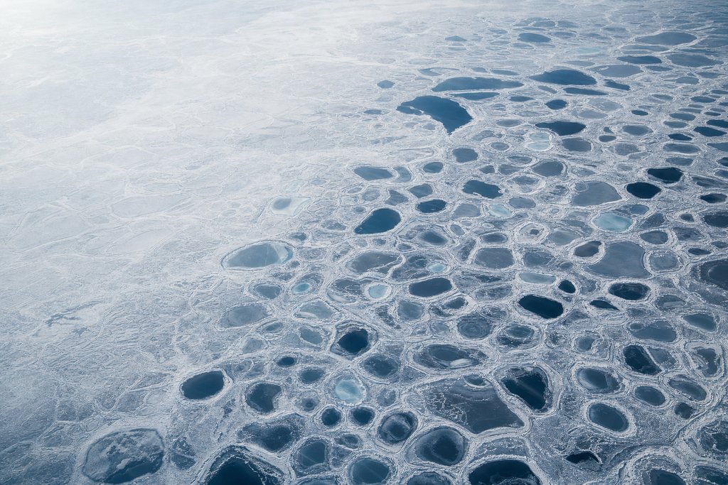 Aerial view of arctic tundra patterned ground — natural polygonal permafrost cells and thaw ponds forming an intricate honeycomb — the plate for the The Territories safety index